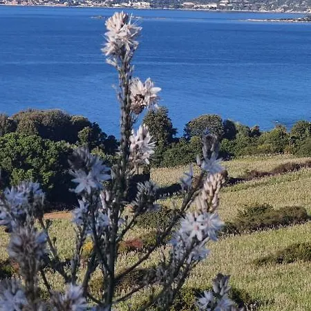 Apartamento Liscia Sea View, Restaurant And Supermarket 50m