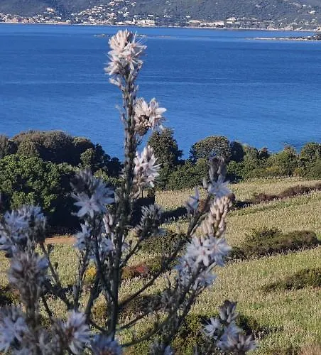 Appartement Liscia Sea View, Restaurant&supermarket 50m